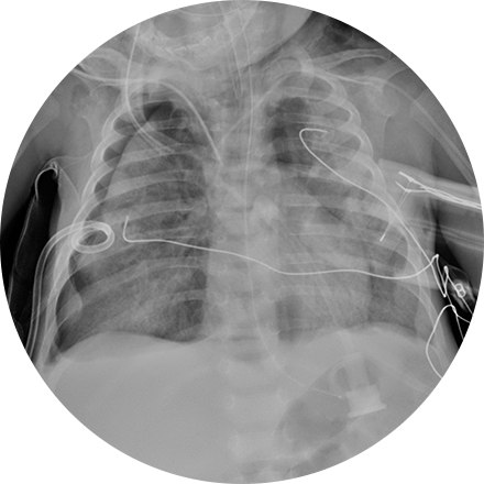 Pediatric Imaging icon